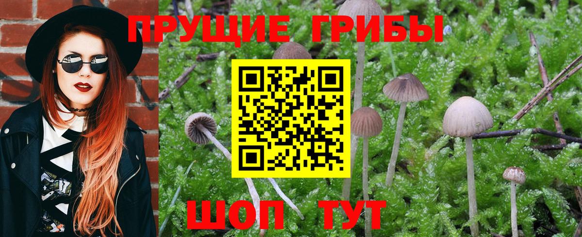 Псилоцибиновые грибы Magic Shrooms  Вход с VPN  Псилоцибиновые грибы Psilocybine cubensis  Топки 